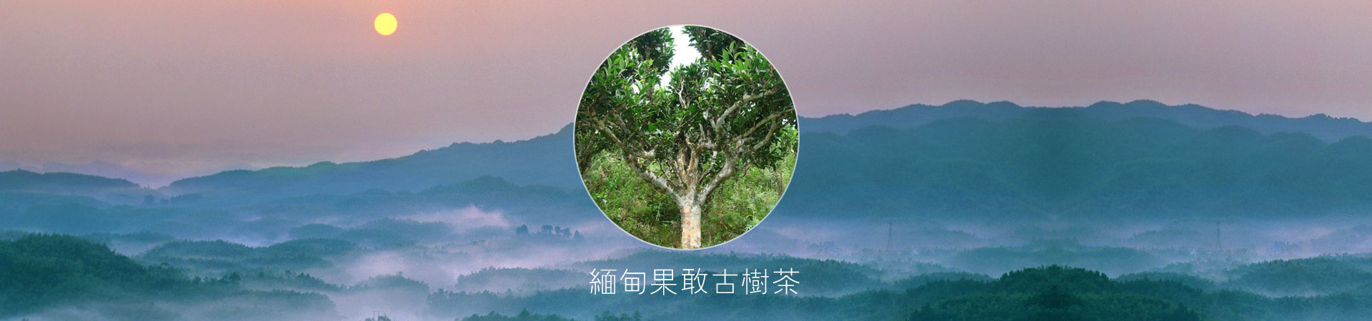 山東中礦重工絞車有限公司